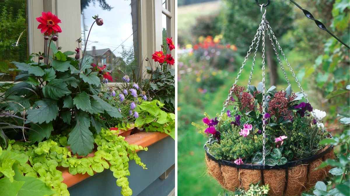 10 Easy Ways to Start a Micro-Garden at Home